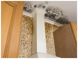 Pompano Beach Emergency Restoration Pompano Beach, FL 561-260-5190 Pompano Beach Emergency Restoration Pompano Beach, FL 561-260-5190