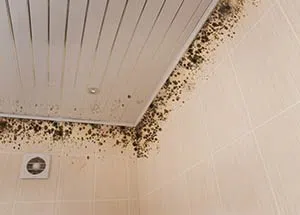 Pompano Beach Emergency Restoration Pompano Beach, FL 561-260-5190 - service-03